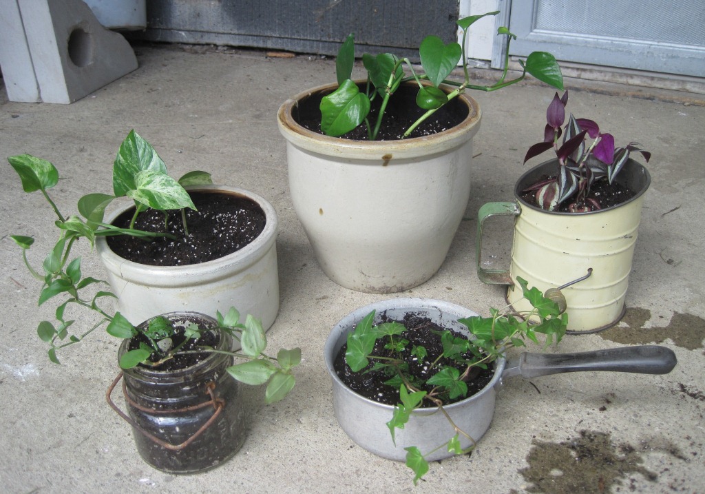 Plants and pots - Confessions