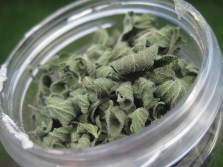 In a jar, all ready to crumble and use.